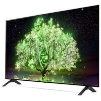 LG OLED48A13LA