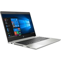 HP 455 G7 2D239EA