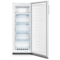 HISENSE FV206D4AW1 