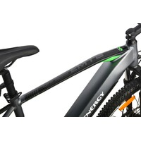 MS ENERGY eBike m100