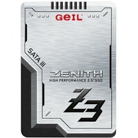 GEIL 256GB 2.5
