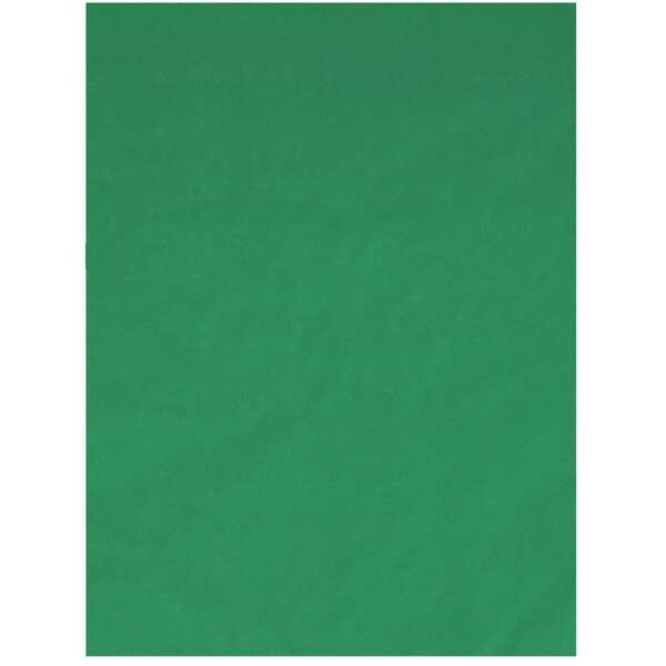 TNB Green background - INFLUENCE