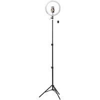 TNB LED ring with tripod for studio 12