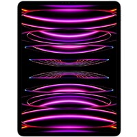 APPLE 12.9-inch iPad Pro (6th) Wi_Fi 1TB - Space Grey mnxw3hc/a